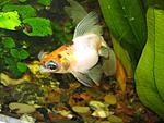 IMG 0418[1]