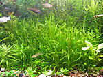 IMG 9548
