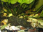 IMG 0428[1]