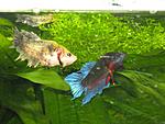 IMG 0369[1]