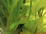 DSC01869