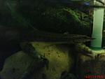 DSC01875
