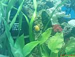 DSC01845