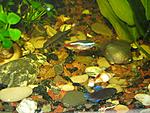 IMG 0426[1]