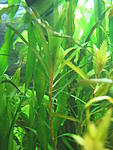 IMG 9551