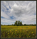  ... 
Canon 5D + Canon EF 16x35 f2,8 LII 
iso100, 1/350, f8.