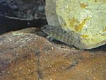 IMG 1639