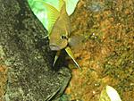 IMG 1581