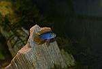 DSC 8748