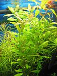 IMG 5191