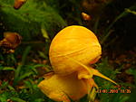 DSCN0198