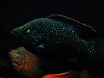 DSC06857