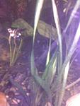 Фото021[1]