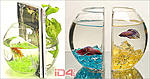 not mobile aquarium 01