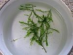 IMG 9676