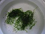 IMG 9679