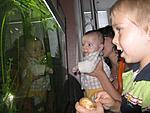 IMG 3320
