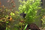 IMG 6956