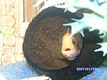 PICT0614