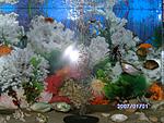 PICT0496
