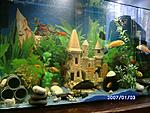 PICT0590