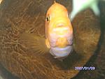 PICT0624