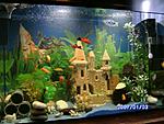 PICT0588