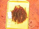 DSC00012