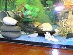 PICT0586