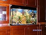 PICT0536