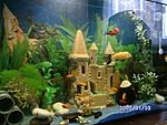 PICT0587