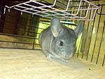 DSC00720