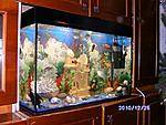 PICT0538