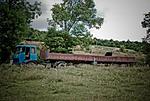 DSC09960