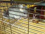 DSC00712