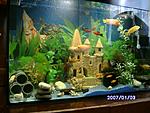 PICT0596