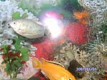 PICT0499