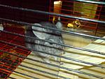 DSC00711