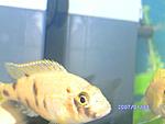 PICT0633