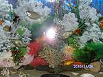 PICT0514