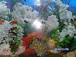 PICT0513