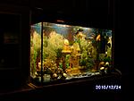 PICT0534