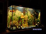 PICT0533
