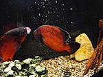 DSCF0057