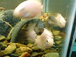 DSC00177