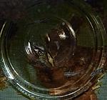 P1040813a