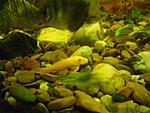 DSC00180