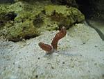IMG 7052