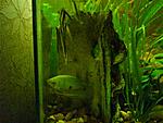 DSC00139