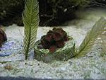 IMG 7054